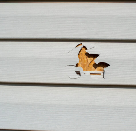 damaged siding repair showing cracked and warped exterior panels
