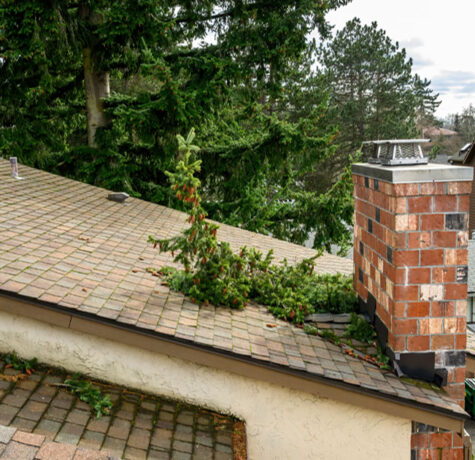Roof Damage from Trees caused by overhanging branches above a residential roof