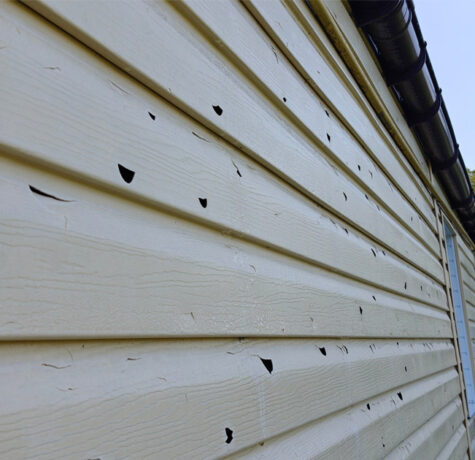 Weathered beige vinyl siding with holes and damage that may need repair or replacement