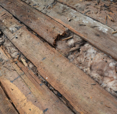 Damaged, rotting wood roof decking exposed during a roof replacement in Austin, TX