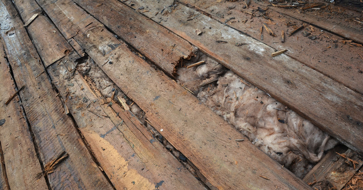 Damaged, rotting wood roof decking exposed during a roof replacement in Austin, TX