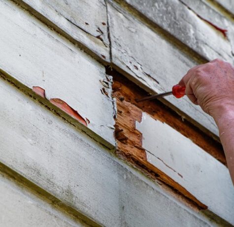Contractor uncovering rot and hidden damage behind old white wood siding