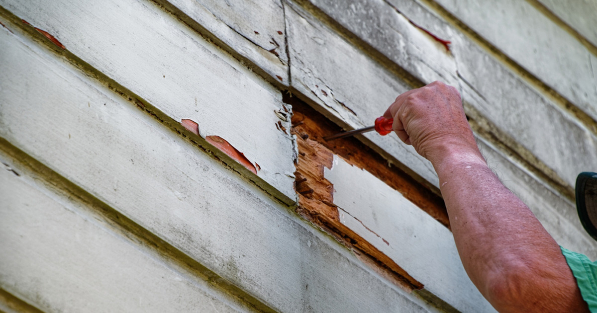 Contractor uncovering rot and hidden damage behind old white wood siding